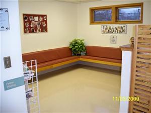 FelineWaitingRoom