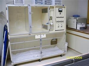 ICU(OxygenTherapy)